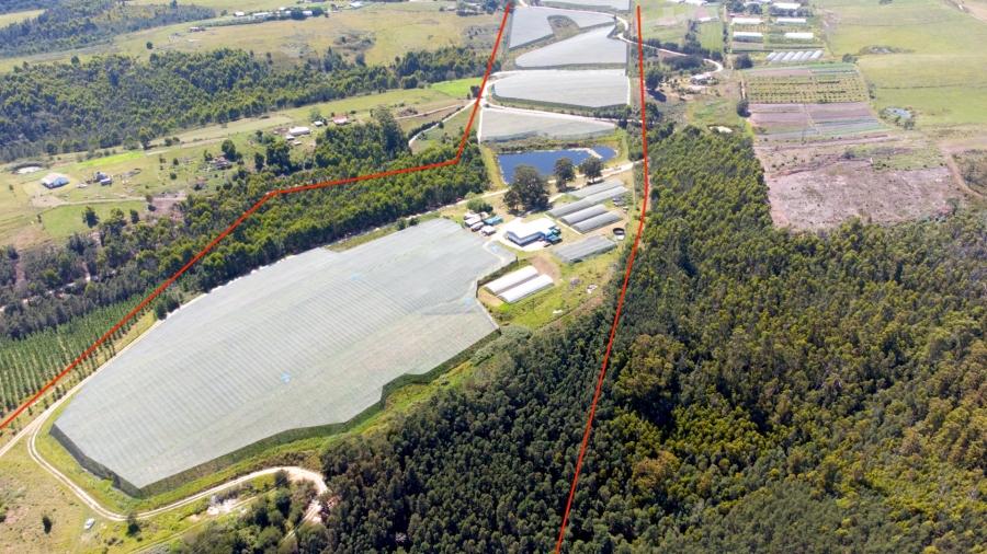 Commercial Property for Sale in Sedgefield Rural Western Cape